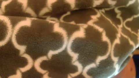 bearplay1111 online show from 02/27/25, 10:59