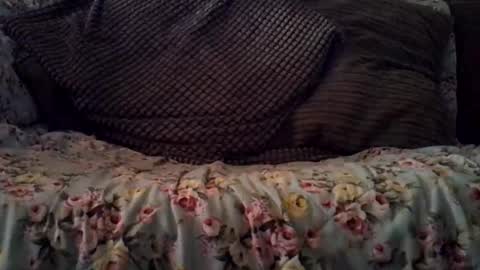 Snapshot of beatlebut chatting on 10/16/25, 03:18 beatlebut online show from 10/16/25, 03:18