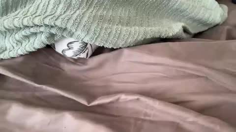 beaumec111 online show from 03/17/26, 03:48