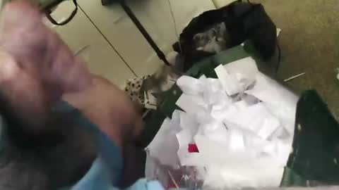 beenallover92 online show from 01/22/25, 02:03