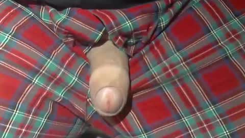  Reservoir Dogs online show from 10/21/25, 10:05