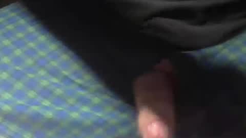  Reservoir Dogs online show from 11/09/25, 07:17