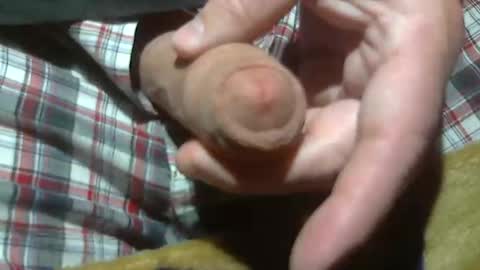  Reservoir Dogs online show from 03/21/26, 02:16