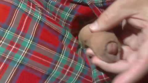  Reservoir Dogs online show from 03/30/26, 02:23