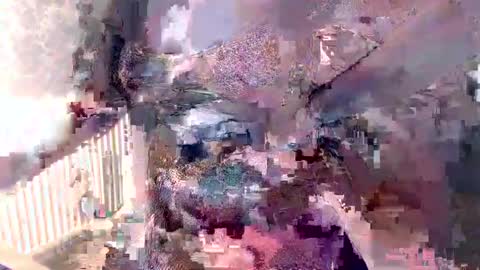      online show from 12/05/24, 08:11