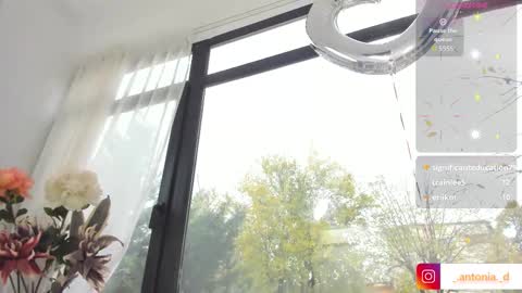 bella_posh online show from 11/15/25, 08:44