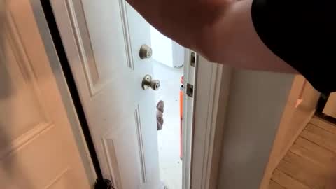 Roxy Rain online show from 02/19/25, 02:12