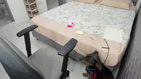 Bella  Angelycal online show from 02/20/25, 10:26