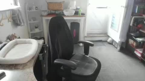 Bellavoca online show from 04/28/26, 08:47