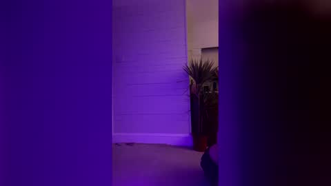 bellaxlauren online show from 02/11/26, 10:48