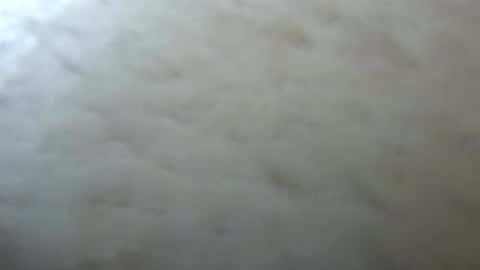 Jack online show from 04/13/26, 03:01