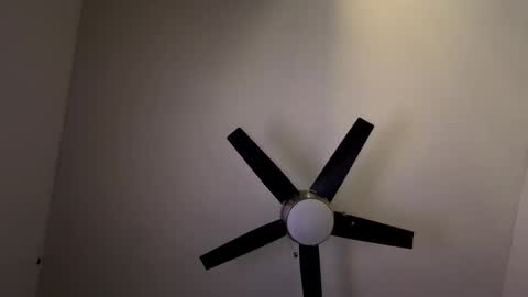 Belle xx online show from 03/06/26, 07:32