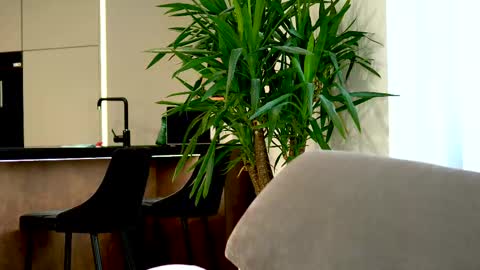 Belle online show from 03/12/25, 07:35