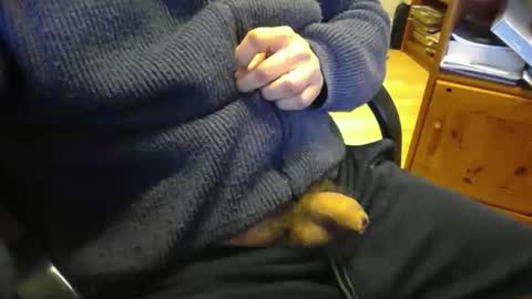 jaimetout online show from 04/21/26, 12:33