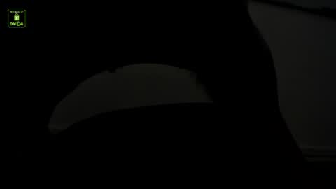 Benny online show from 07/15/26, 11:04