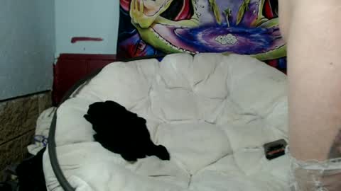 Snapshot of bentbunny21 chatting on 07/08/26, 03:00 Bent Bunny online show from 07/08/26, 03:00