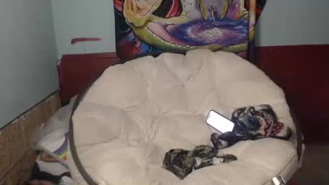 Snapshot of bentbunny21 chatting on 07/22/26, 02:53 Bent Bunny online show from 07/22/26, 02:53
