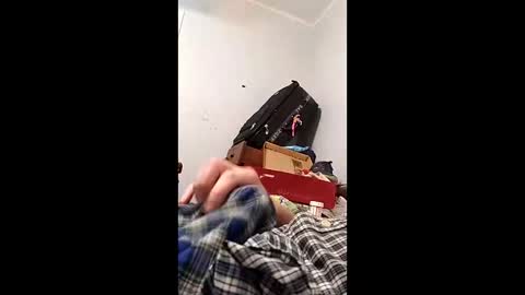 bertpace9296 online show from 05/03/26, 03:12