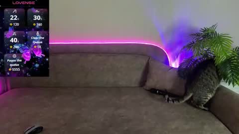 Teya online show from 04/12/26, 03:06