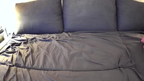 Brian Fox online show from 02/23/25, 12:19