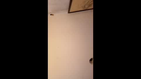 bgiamba21 online show from 01/12/26, 06:51