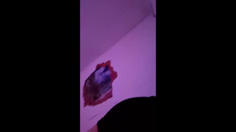 bgiamba21 online show from 02/07/26, 10:19