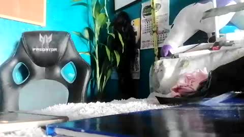 Snapshot of bheb_ji chatting on 02/15/26, 06:10 bheb_ji online show from 02/15/26, 06:10