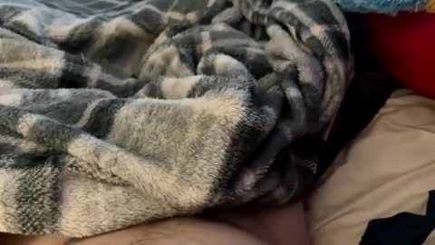 bi_guy_1993 online show from 02/24/25, 03:20