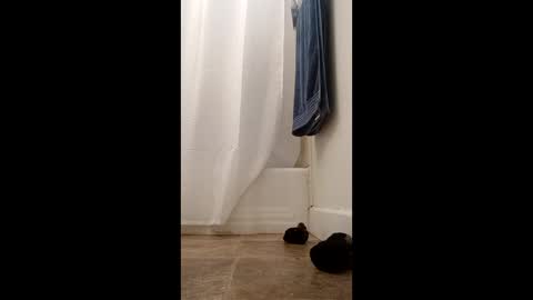 bibottom68942 online show from 12/22/25, 12:24