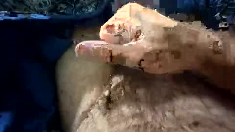 Snapshot of big88385909 chatting on 10/21/25, 12:11 big88385909 online show from 10/21/25, 12:11