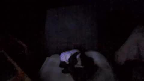 big_davis4 online show from 11/30/25, 12:42