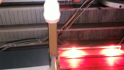 Snapshot of bigassman46 chatting on 10/09/25, 10:08 Straight Dave online show from 10/09/25, 10:08