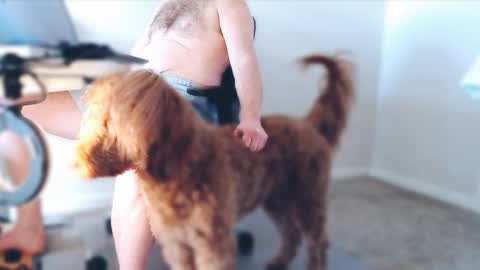 Snapshot of bigbadwolfbulge chatting on 02/25/26, 05:00 Alcide Herveaux online show from 02/25/26, 05:00