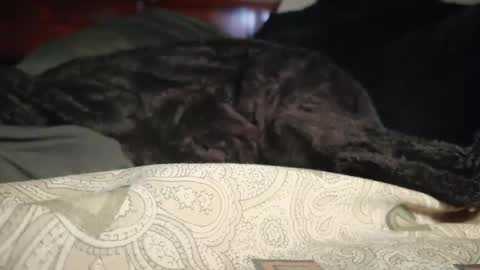 Biggest BC Energy online show from 04/01/26, 09:10