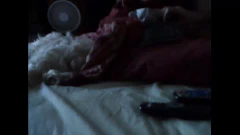 BB online show from 03/14/26, 05:35