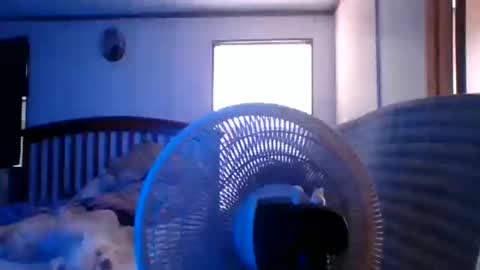 BB online show from 03/28/26, 08:30