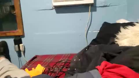 Snapshot of bigblu659 chatting on 01/09/25, 12:35 bigblu659 online show from 01/09/25, 12:35