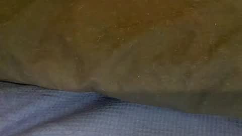 bigboii842 online show from 11/15/25, 04:36