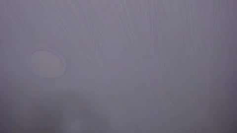   online show from 04/07/26, 10:05