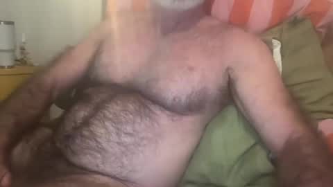 big bush online show from 07/19/26, 07:23