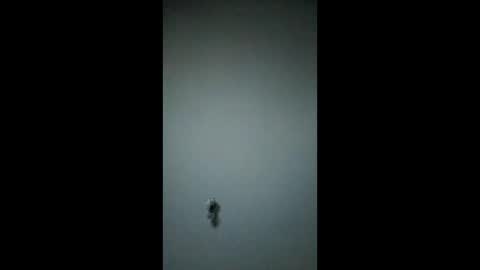 bigchorizo18 online show from 03/17/26, 05:00