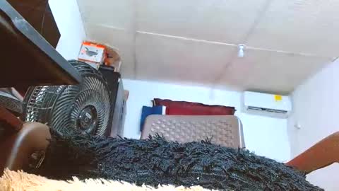ADHARA DONADO online show from 06/03/26, 02:44