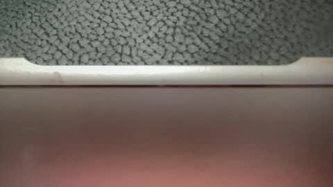 Snapshot of bigcocksuckingslut chatting on 02/02/25, 05:26 bigcocksuckingslut online show from 02/02/25, 05:26