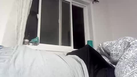 bg online show from 12/18/24, 02:42