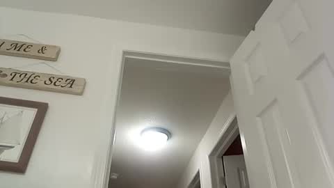 bg online show from 12/19/24, 08:55