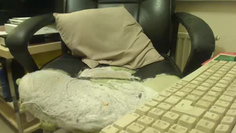 bigcurve online show from 01/30/25, 08:21