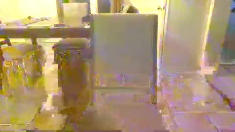 bigdeer581917471 online show from 06/08/26, 12:47
