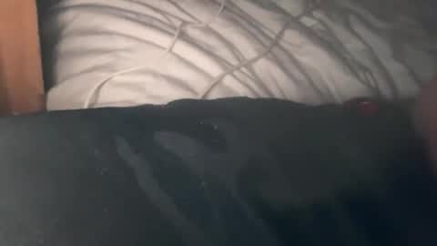 Snapshot of bigdick686268 chatting on 10/03/25, 07:33 Pac Man Sex online show from 10/03/25, 07:33