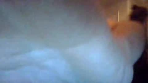bigdickdaddy7201979564868 online show from 09/22/25, 07:10