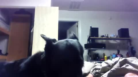 Snapshot of bigdickdaddy7201979564868 chatting on 06/19/26, 06:40 bigdickdaddy7201979564868 online show from 06/19/26, 06:40